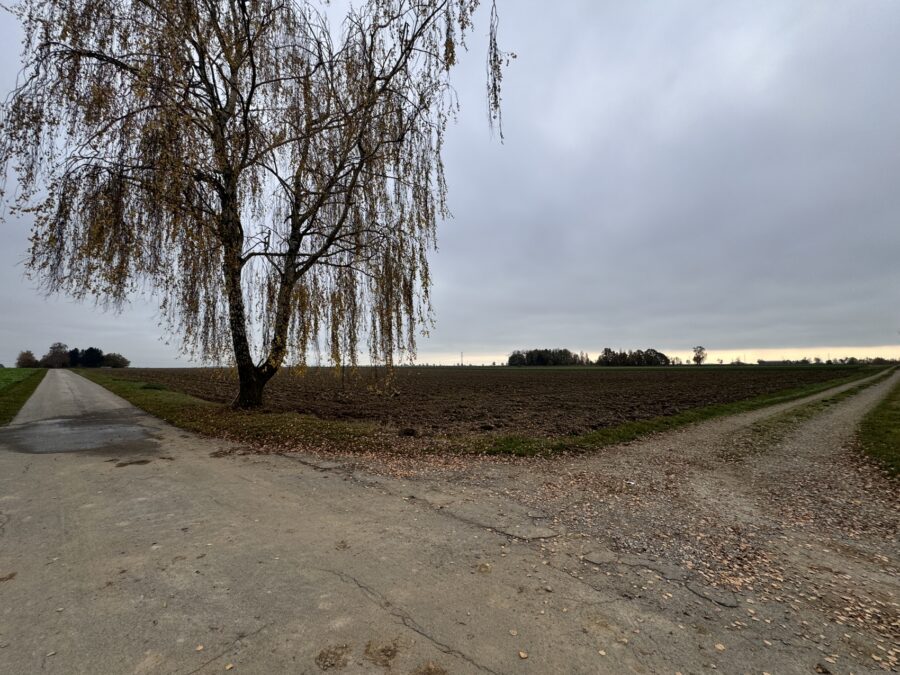 TOP Ackerfläche in Schwabmünchen am Dreifaltigkeitsweg!, 86830 Schwabmünchen, Sonstige Landwirtschaftsimmobilie