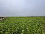 TOP Ackerfläche zwischen Königsbrunn und Oberottmarshausen "Bobinger Feld" - Ansicht von Osten