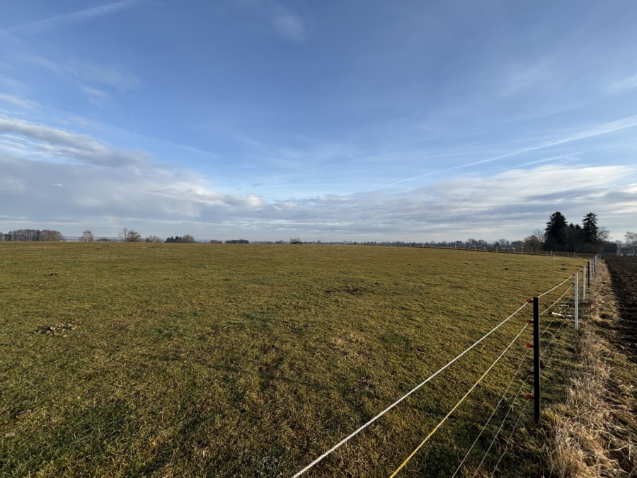 Großes Feld in Langerringen, 86853 Langerringen, Land-/Forstwirtschaft